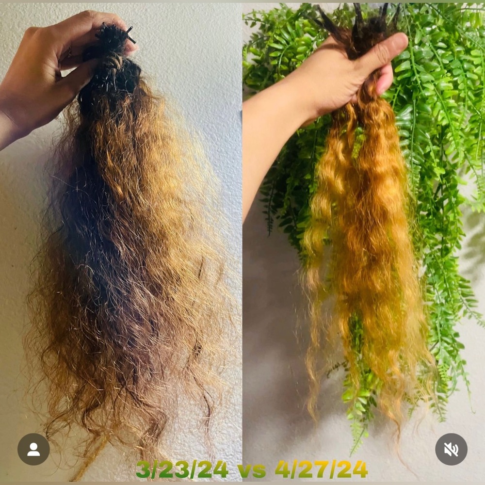 Curly I Tip Extensions (Studio Techilo Exotic Curly)